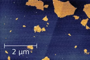 Alba Sci_AFMWorkshop