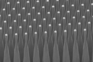 Alba Sci_diamond nanopillars